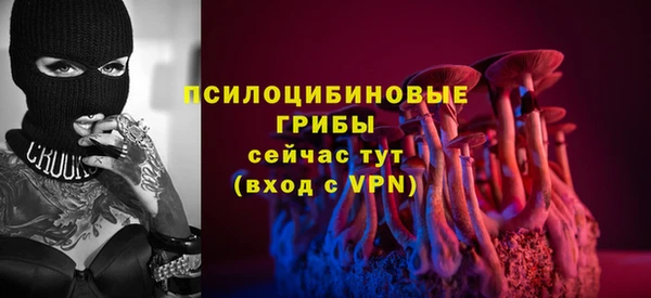 ECSTASY Краснослободск