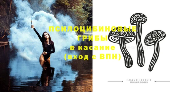 ECSTASY Краснослободск