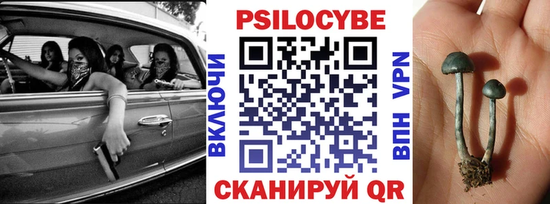 Галлюциногенные грибы GOLDEN TEACHER  Купить где  Льгов 