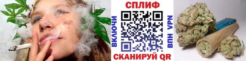 Бошки Шишки план  Купить где  Льгов 